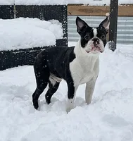 processed/39d9dbcf-8178-457e-a01b-98f34f478fef/facility/5f0e9102-abd5-4d43-876b-1a7c4961ebbe