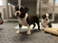 processed/39d9dbcf-8178-457e-a01b-98f34f478fef/facility/922643b3-8728-4306-b6f6-c5603e3b5726