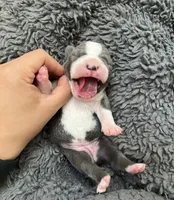 processed/39d9dbcf-8178-457e-a01b-98f34f478fef/facility/ab0d999c-e64b-436c-ab09-f04b4d7303b3