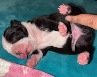 processed/39d9dbcf-8178-457e-a01b-98f34f478fef/facility/d8184e69-b55f-4525-8001-1aa302933522