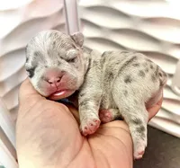 processed/39d9dbcf-8178-457e-a01b-98f34f478fef/facility/e60fa537-cfae-46d6-b45d-380c010f5d0b