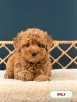 processed/39da1771-46fa-41a1-b12c-2d9d6e94f308/listing/1a83b2c3-a48d-4b60-a07e-70dccee88ddc/d78f5340-c6df-46fb-97df-d120e1fc91bf