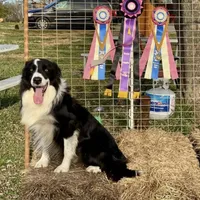 processed/39e1e214-f210-432a-ba0b-9c89aa658771/facility/17bbfc90-779d-4e75-90dc-88ee74f7d4fd