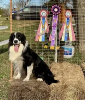 processed/39e1e214-f210-432a-ba0b-9c89aa658771/facility/17bbfc90-779d-4e75-90dc-88ee74f7d4fd