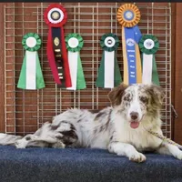 processed/39e1e214-f210-432a-ba0b-9c89aa658771/facility/58ecf38c-680e-493b-9c36-264b40b8c78b