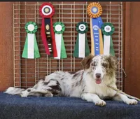 processed/39e1e214-f210-432a-ba0b-9c89aa658771/facility/58ecf38c-680e-493b-9c36-264b40b8c78b