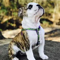 processed/39e1e214-f210-432a-ba0b-9c89aa658771/facility/bf5dc697-8cdb-4628-a7f7-bdeb4feaa57f