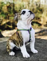 processed/39e1e214-f210-432a-ba0b-9c89aa658771/facility/bf5dc697-8cdb-4628-a7f7-bdeb4feaa57f