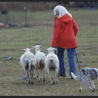 processed/39e1e214-f210-432a-ba0b-9c89aa658771/facility/dad01102-a512-4912-bac3-7b20b28861b0