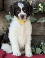 processed/39e1e214-f210-432a-ba0b-9c89aa658771/listing/3cf0ffa1-765e-4618-8fc4-0748647bfa29/059db8b1-c222-4e6f-94b9-fcdc6f3c3d1e