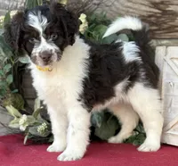 processed/39e1e214-f210-432a-ba0b-9c89aa658771/listing/3cf0ffa1-765e-4618-8fc4-0748647bfa29/3ad41c37-e48d-4248-9f22-79c2f5d29de2