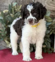 processed/39e1e214-f210-432a-ba0b-9c89aa658771/listing/3cf0ffa1-765e-4618-8fc4-0748647bfa29/80c3f342-a6dd-44f1-a720-aea805f5d362