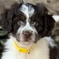 processed/39e1e214-f210-432a-ba0b-9c89aa658771/listing/3cf0ffa1-765e-4618-8fc4-0748647bfa29/856832f2-fd0e-4cf2-8b90-3ef5b9c20ba2