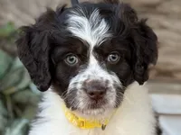 processed/39e1e214-f210-432a-ba0b-9c89aa658771/listing/3cf0ffa1-765e-4618-8fc4-0748647bfa29/b2e4b99f-ea00-4e3f-84bf-fe986bf17395