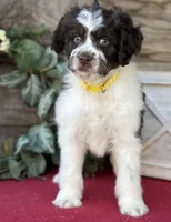 processed/39e1e214-f210-432a-ba0b-9c89aa658771/listing/3cf0ffa1-765e-4618-8fc4-0748647bfa29/b72a8c4a-1fb9-4983-9185-ea469d9478a6