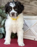 processed/39e1e214-f210-432a-ba0b-9c89aa658771/listing/3cf0ffa1-765e-4618-8fc4-0748647bfa29/fdd91265-861d-4e9c-bd66-59ac444cbceb