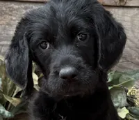 processed/39e1e214-f210-432a-ba0b-9c89aa658771/listing/608a36f1-9125-4835-ac80-f21884ee9bec/9e35ec3e-79bd-4606-b2b9-2492934c0061