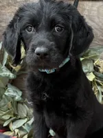 processed/39e1e214-f210-432a-ba0b-9c89aa658771/listing/608a36f1-9125-4835-ac80-f21884ee9bec/c0bde33c-4dc0-47a8-afa1-efd5b0a0fcef