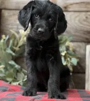 processed/39e1e214-f210-432a-ba0b-9c89aa658771/listing/608a36f1-9125-4835-ac80-f21884ee9bec/ef403ed8-0e14-4933-ba5b-1a1d6af6bccf