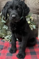 processed/39e1e214-f210-432a-ba0b-9c89aa658771/listing/608a36f1-9125-4835-ac80-f21884ee9bec/f8294f73-660b-4d7b-82fd-3e8c3ee129fb