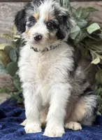 processed/39e1e214-f210-432a-ba0b-9c89aa658771/listing/7784e637-ff70-4793-bebb-b2a422604ce8/795cb391-56f7-4640-8f21-09da3589e471