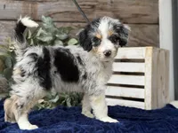 processed/39e1e214-f210-432a-ba0b-9c89aa658771/listing/7784e637-ff70-4793-bebb-b2a422604ce8/93220b60-1493-4400-9c8b-deec79401320