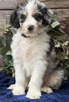 processed/39e1e214-f210-432a-ba0b-9c89aa658771/listing/7784e637-ff70-4793-bebb-b2a422604ce8/a003ae6e-2e48-479a-a332-b2232617b1d8