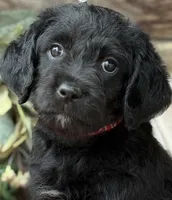 processed/39e1e214-f210-432a-ba0b-9c89aa658771/listing/bb52cd6f-580e-4d67-9759-b62f5fe6dad4/2af7740d-1602-437a-b6f6-e5bdab44fbc4