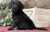 processed/39e1e214-f210-432a-ba0b-9c89aa658771/listing/bb52cd6f-580e-4d67-9759-b62f5fe6dad4/37e29253-ba41-46a1-9cd3-3fb662b099f8