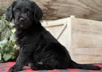 processed/39e1e214-f210-432a-ba0b-9c89aa658771/listing/bb52cd6f-580e-4d67-9759-b62f5fe6dad4/44df8c6d-481b-4f3e-a038-10e53ef7adf3