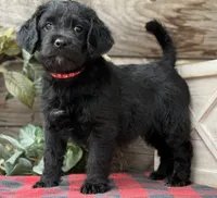 processed/39e1e214-f210-432a-ba0b-9c89aa658771/listing/bb52cd6f-580e-4d67-9759-b62f5fe6dad4/4931f847-aa1e-4ba7-ab96-299b194c7b8b