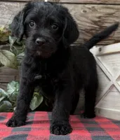 processed/39e1e214-f210-432a-ba0b-9c89aa658771/listing/bb52cd6f-580e-4d67-9759-b62f5fe6dad4/f8a1882d-b6cd-427c-96da-2c66ef143d89