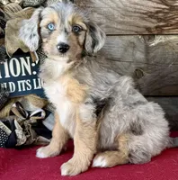 processed/39e1e214-f210-432a-ba0b-9c89aa658771/listing/d5ce5921-7522-4f42-8333-b89b5b3812d4/2807d8dc-8e35-43f7-b5af-821e65f5b66f