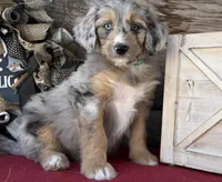 processed/39e1e214-f210-432a-ba0b-9c89aa658771/listing/d5ce5921-7522-4f42-8333-b89b5b3812d4/aaf98c1a-5c08-405b-82eb-a1436272797f