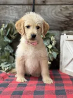 processed/39e1e214-f210-432a-ba0b-9c89aa658771/listing/db80d320-65eb-4322-8f02-65fefff50de3/4431847d-4fb7-4f44-a577-bd630151d361