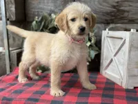 processed/39e1e214-f210-432a-ba0b-9c89aa658771/listing/db80d320-65eb-4322-8f02-65fefff50de3/88499339-f13e-42eb-be1d-62e2a2b62ab5