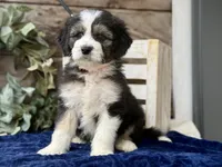 processed/39e1e214-f210-432a-ba0b-9c89aa658771/listing/ff576c16-98cc-407e-8642-c5e0f74c3c77/74bb5a17-6491-4181-805c-2126d6c456bd