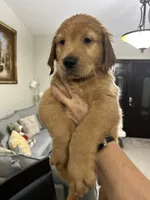 processed/39e3312c-0362-4d4a-9155-03c63654cdd2/facility/401bc055-c35c-4abe-84e5-b4703bad465d