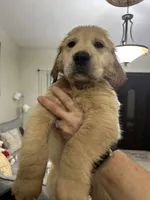 processed/39e3312c-0362-4d4a-9155-03c63654cdd2/facility/4b361633-dba4-4e1c-8e2e-22e740f7b6cd