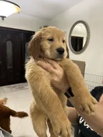 processed/39e3312c-0362-4d4a-9155-03c63654cdd2/facility/6e4cf492-5dbf-425e-aa99-81a87e703937