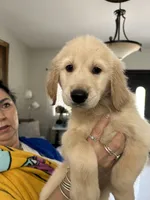 processed/39e3312c-0362-4d4a-9155-03c63654cdd2/facility/7fa4e24f-a241-4652-97a0-8ca1cb111565