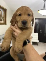 processed/39e3312c-0362-4d4a-9155-03c63654cdd2/facility/a6889b5f-034a-48b3-b99c-98d8788e5fc0