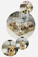 processed/39e3312c-0362-4d4a-9155-03c63654cdd2/facility/c0d4ac71-3134-4994-b3cf-40e06cd960b6