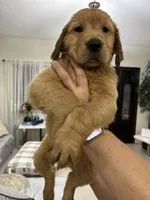 processed/39e3312c-0362-4d4a-9155-03c63654cdd2/facility/dbd165ce-9a4e-4477-9d8d-49b82172e96b