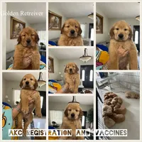 processed/39e3312c-0362-4d4a-9155-03c63654cdd2/facility/ea2eeac8-6f49-4b20-a1b9-24ea3c37ff2c