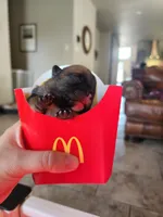 Blue, a male French Bulldog for sale in El Paso, TX – 3 of 10