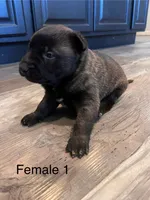 processed/39fb9f58-2883-4050-a8de-248be2e8aaf4/listing/31754841-9a9e-4bf5-848a-500a51bab42c/b7e561bd-4184-4682-afa1-3c4f94936200