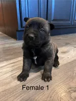 processed/39fb9f58-2883-4050-a8de-248be2e8aaf4/listing/31754841-9a9e-4bf5-848a-500a51bab42c/edbd4967-c5a3-4127-ab67-9fe7d1606f95