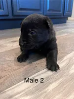 processed/39fb9f58-2883-4050-a8de-248be2e8aaf4/listing/9519726b-2213-458b-8e21-8b881e4ba905/7e806d0c-9c3f-493e-9437-977a9d6cca54