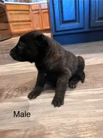 processed/39fb9f58-2883-4050-a8de-248be2e8aaf4/listing/9e0d4f96-3c8c-4004-a7d2-234e657823d8/00fffee6-cf73-4c3a-bed4-51ded34c7473